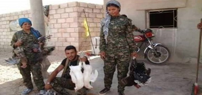 وحدات-حماية-الشعب-الكردي-على-خطى-شبيحة-الأسد..-نهب-وسرقة-وتعفيش