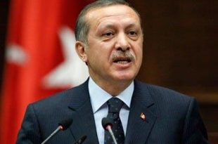 أردوغان: سنعلن قريبا عن منطقة آمنة شمال حلب بمساحة 5 آلاف كم